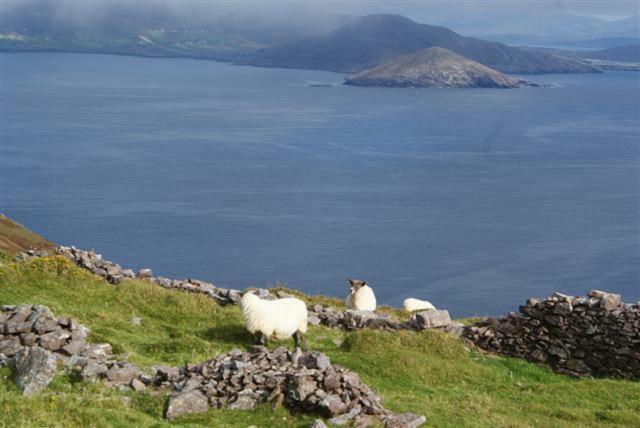Rose Cottage Ballinskelligs Bagian luar foto