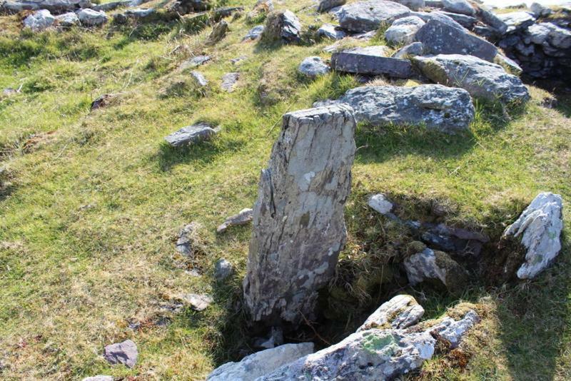 Rose Cottage Ballinskelligs Bagian luar foto