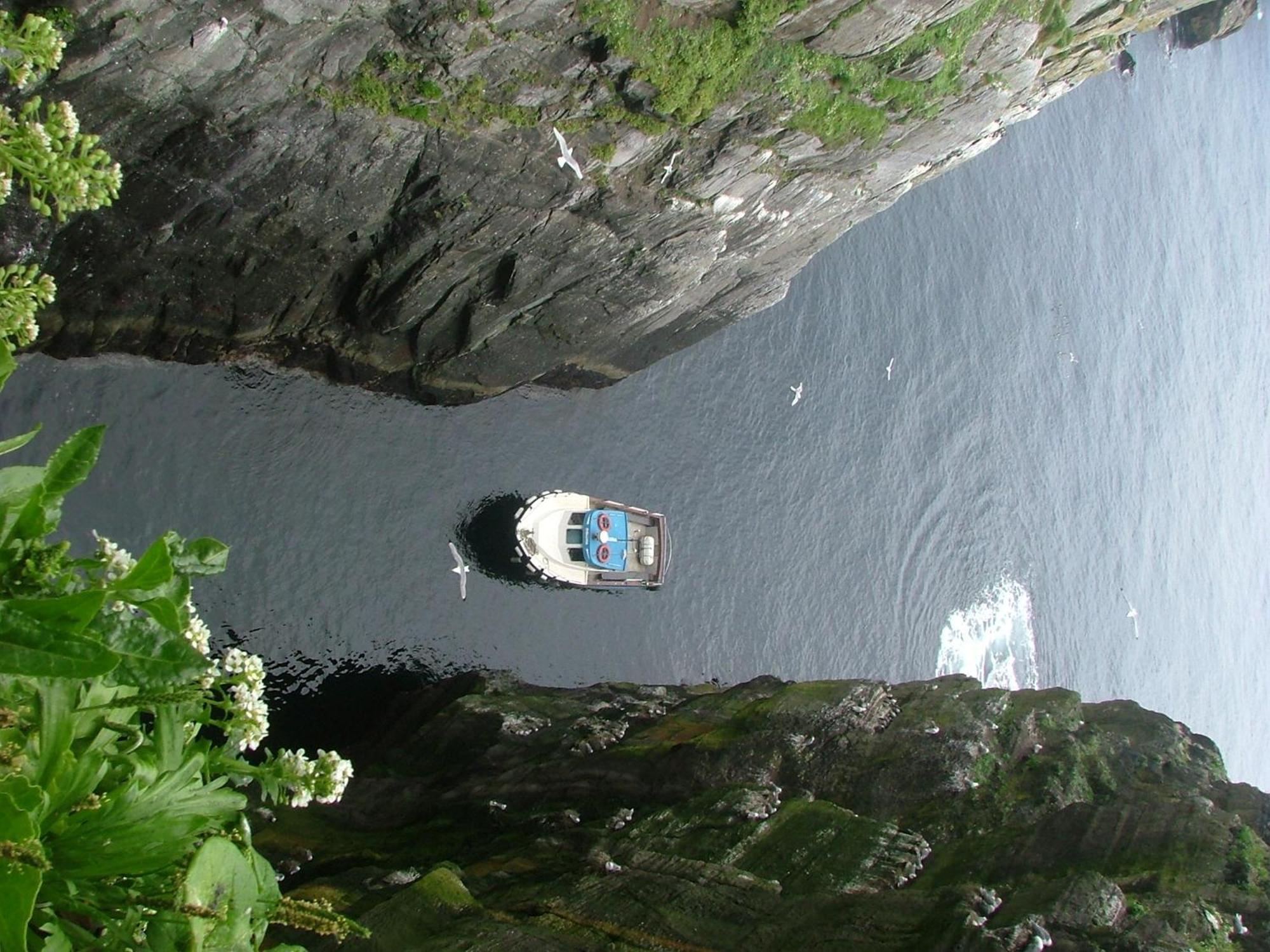 Rose Cottage Ballinskelligs Bagian luar foto
