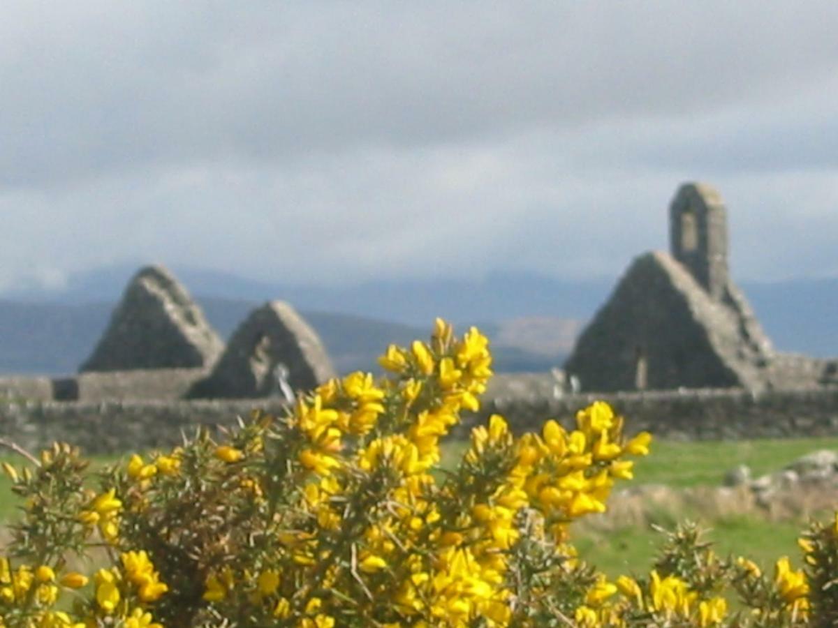 Rose Cottage Ballinskelligs Bagian luar foto